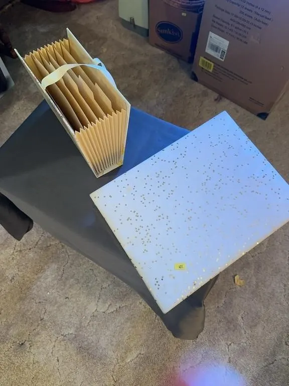 Expanding Accordion File Organizer and Craft Suppl