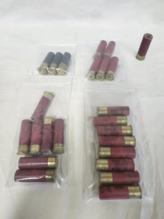 24 Various Shell 12 ga. & 16 ga. Shells