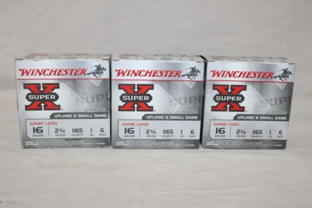 Winchester 16 ga. 6 Shot (3x's The Money)