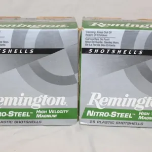 Remington 12 ga. 2 Shot (2x's The Money)