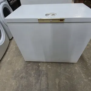 Woods Excellence Energy Star Chest Freezer with Top-Opening Lid and Interior Wire Baskets
