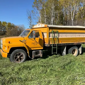 Ford F600 4x2 Grain Truck