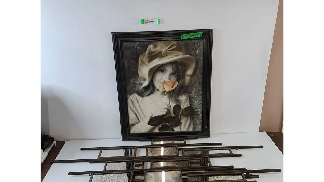 *(2) Rectangular Multi-Pane Wall Mirrors, (1) 19 1/4" x 24 3/4" Picture Frame No Shipping