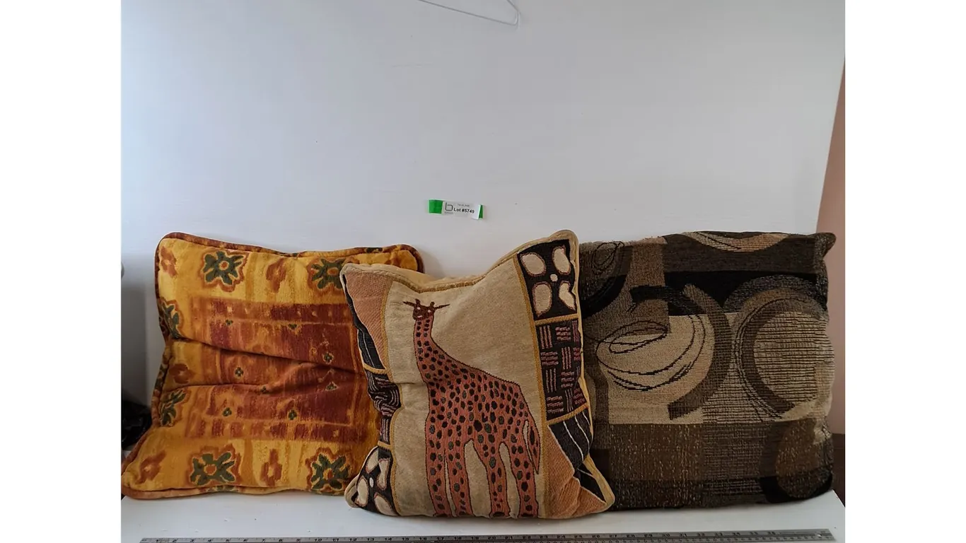 (3) Pillows, Floral, Giraffe, Lines & Circles