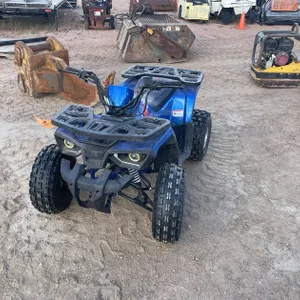 2017 TAO Motors Four Wheeler