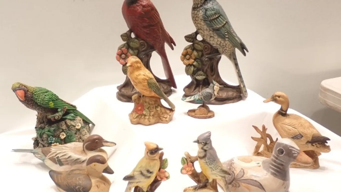 Bunch of Birds !