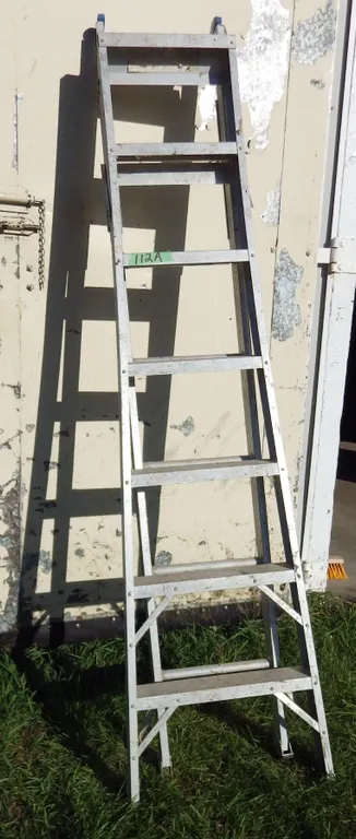 folding / extention aluminum ladder
