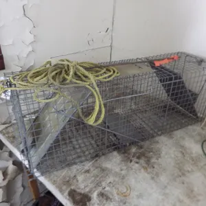Medium size live animal trap