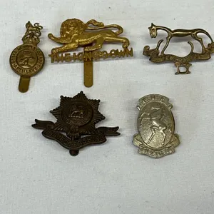 WW1 British Military Badge Lot – Berkshire Imperial, Kings Own, Devon Yeomanry, Worcestersh
