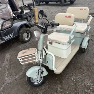 Mini Golf Cart MGC40