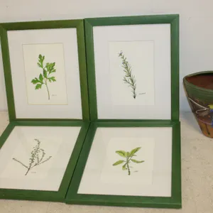 Botanical Prints & Planter