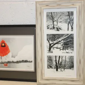 Cardinal & Winter Photography