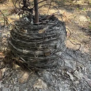 Roll of barbed wire.