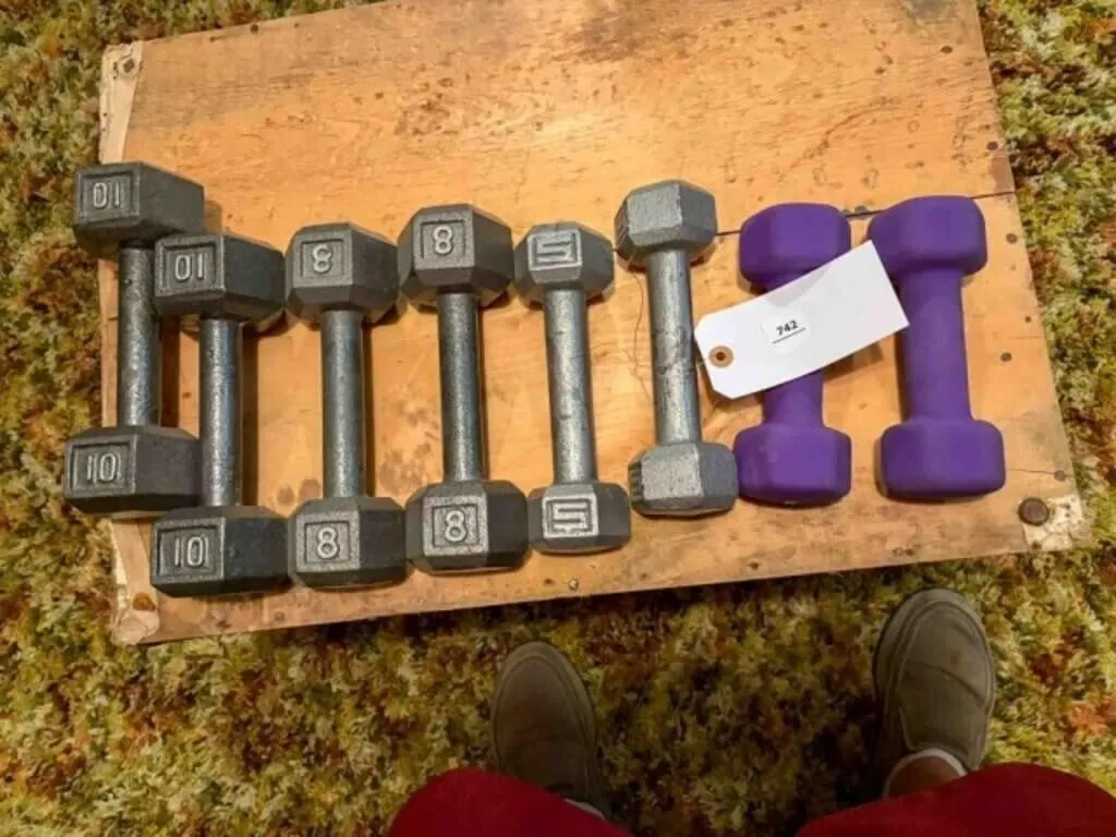 small barbell (hand) Weights