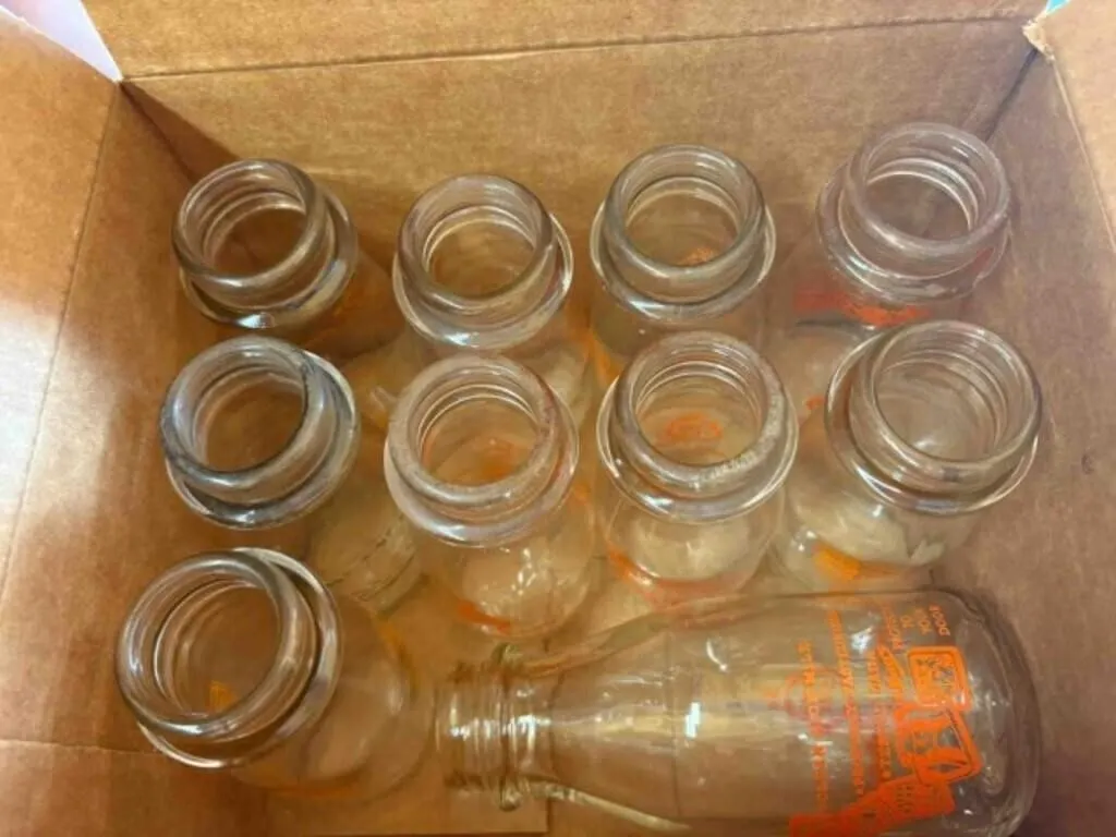 GOLD SPOT JARS