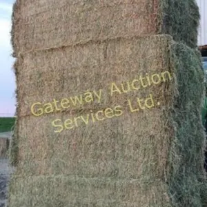Alfalfa Large Square Bales