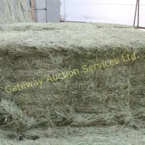 Timothy Large Square Bales