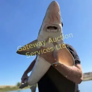 Alberta Sturgeon Fishing Trip for 4 - Guided