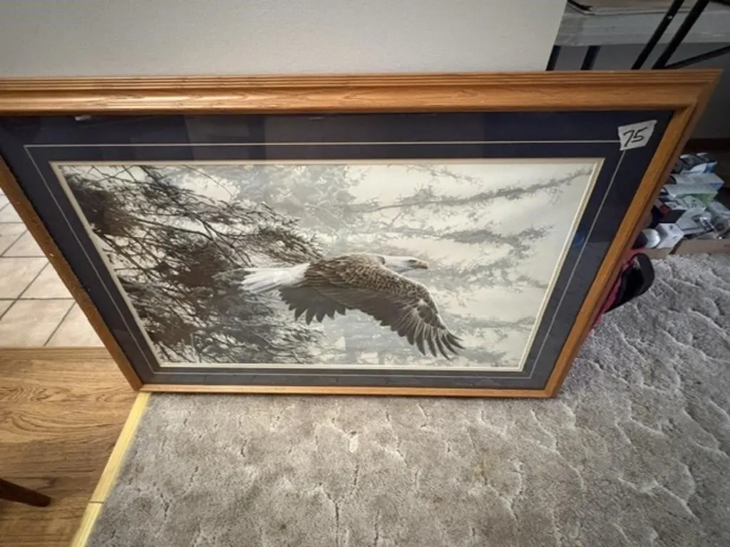 EAGLE PICTURE