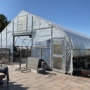 Green house, 30�x48�