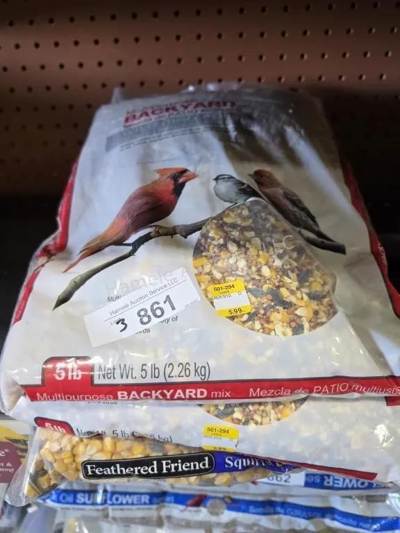 Bird food