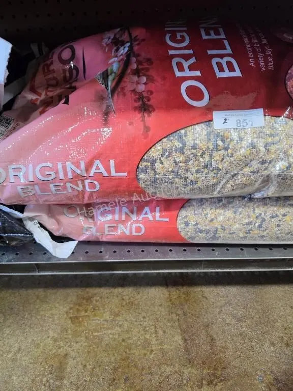 Bird food