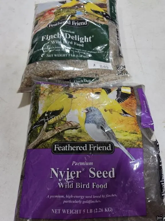 Bird food