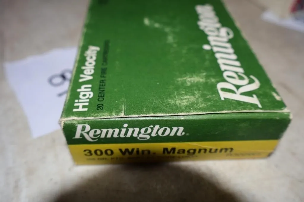 .300 Win Mag