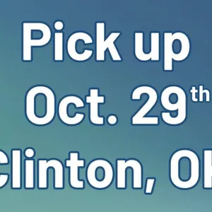 Pick Up in Clinton, OK