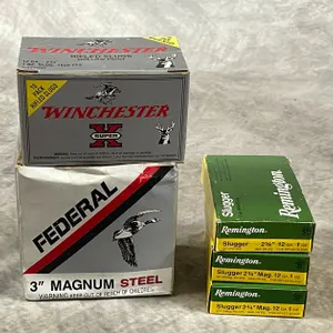 12 Ga. Shotgun Slugs (Neenah, WI)