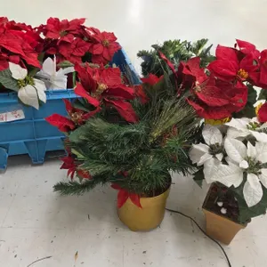 Lot of Christmas Poinsettias etc.