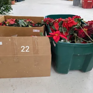 Large Lot of Christmas Flowers, etc.