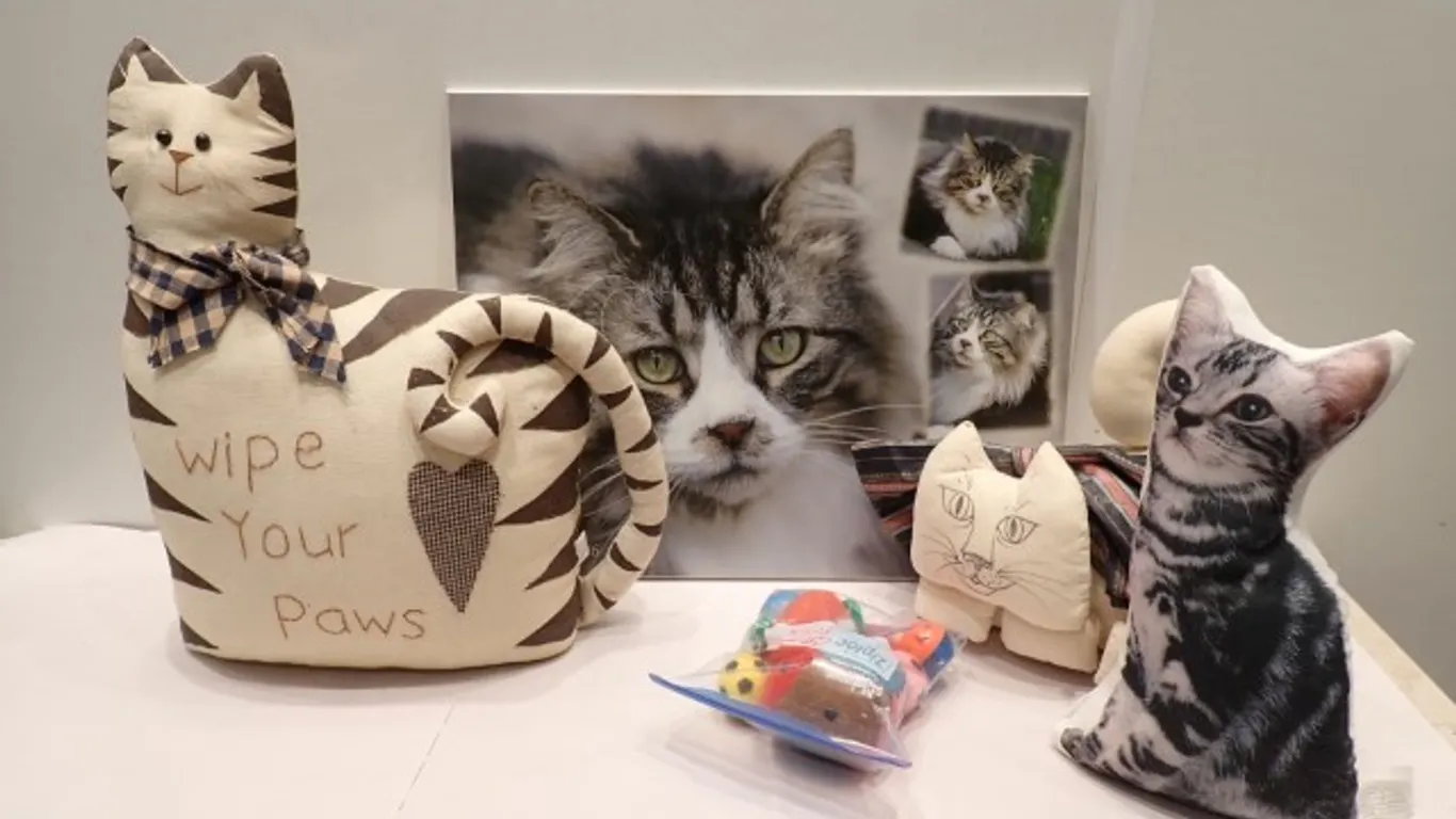Kitty Cat Collection