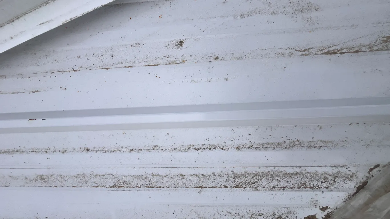 Sheet of 28 Gauge Ribbed Metal Roofing/Siding - White - 3' x 20' - Must Take 20 Times the Bid Price