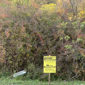 Clemons Center Rd, Dresden