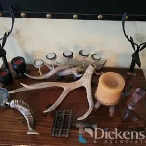 WESTERN DECOR