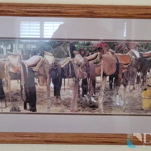 VERTICAL PRINT OF A VARIETY OF SADDLES
