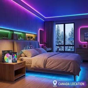 Lxyoug LED RGB Strip Light 65ft with Remote