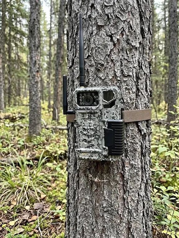 Spypoint LINK-MICRO-LTE Cellular Trail Camera