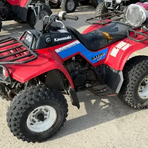 1989 Kawasaki KLF220 Bayou