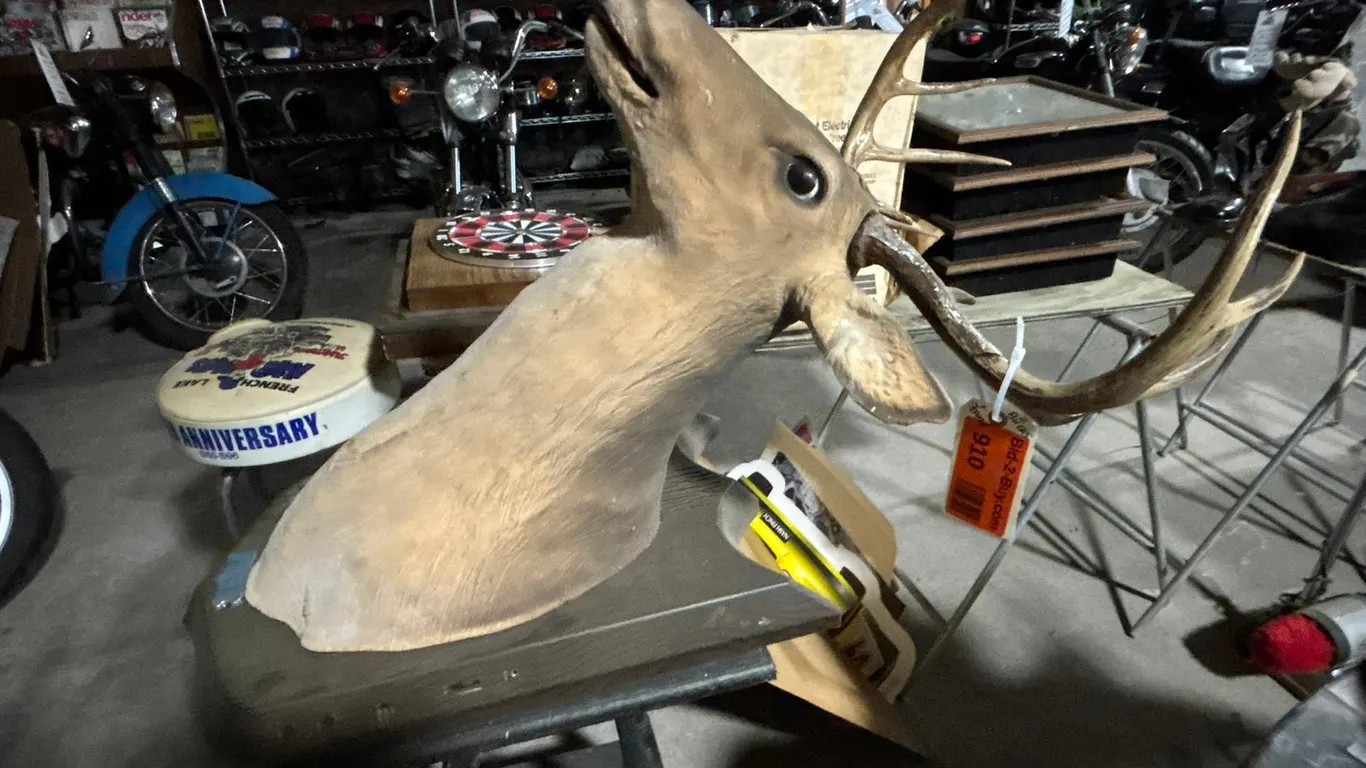 (2) Buck Head Mounts and Wood Stand
