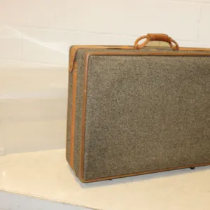 Suitcase & Storage Bin