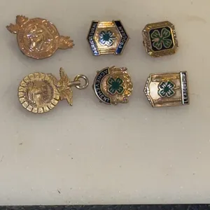 10k gold filled pins-4 H, Future Farmers