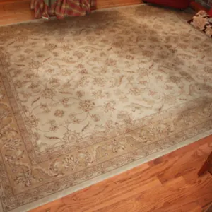Tan Floral Area Rug