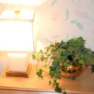Table Lamp & Planter