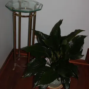Plant & Pedestal Stand