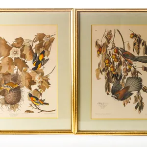 TWO FRAMED PRINTS AFTER AUDUBON.