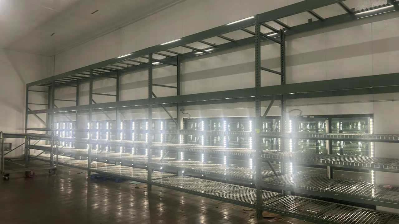 Interlake multi-tier teardrop pallet racking. Features 5" crossbars, pallet supports, wire mesh decking, and green painted finish. Dimensions: 128" x