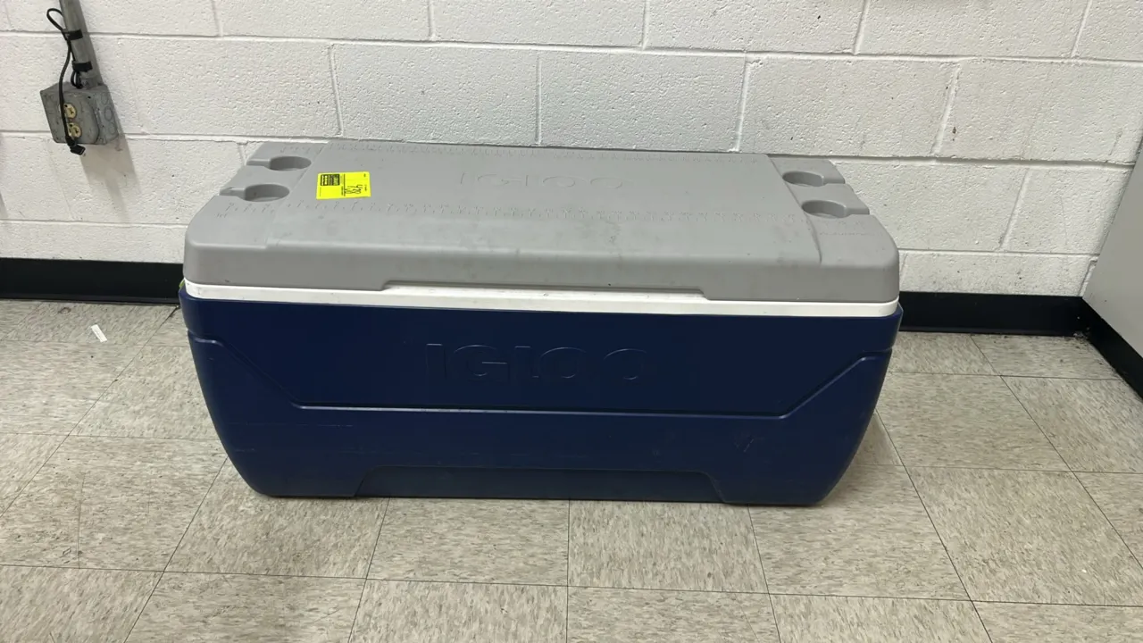 Igloo MaxCold hard-sided ice chest cooler. Features molded cup holders, integrated lid ruler, and swing-up side carry handles. 3'L. Contents not inclu