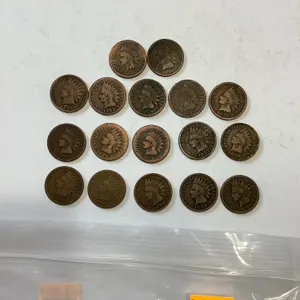 17.- 1880 - 1899 Indian Head Pennies
